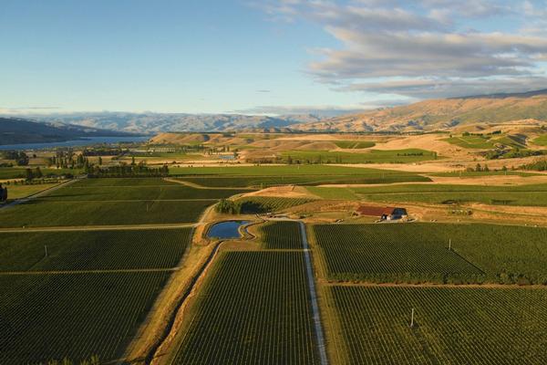 Amisfield Estate, Pisa, Central Otago, New Zealand  